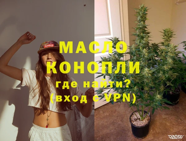 мет Алексин
